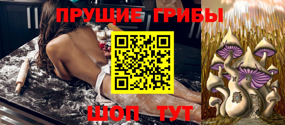 Дятьково  Галлюциногенные грибы Psilocybine cubensis  Псилоцибиновые грибы мицелий  Вход с VPN 